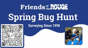 FOTR Bug Hunt Apr 20