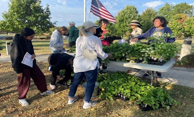 Perennial Exchange - Sep 19