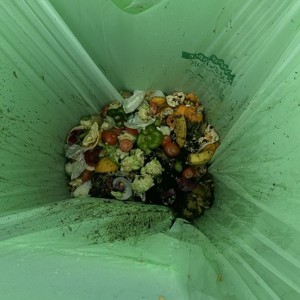 Food Waste
