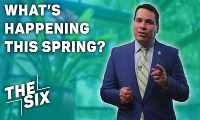 Miss Amazing, Novi 2050, & More! | The Six