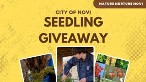 Arbor Day Seedling Giveaway