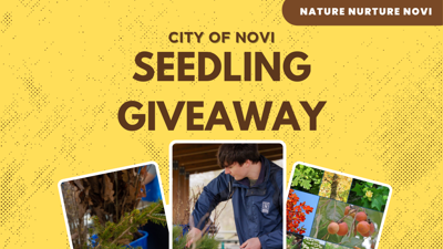 Arbor Day Seedling Giveaway