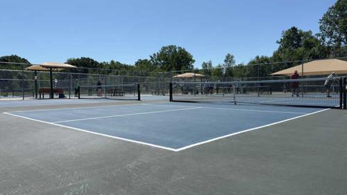 Pickleball Courts