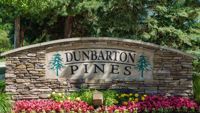 Dunbarton Pines