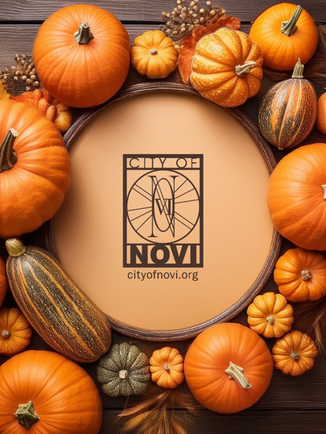 City of Novi seal