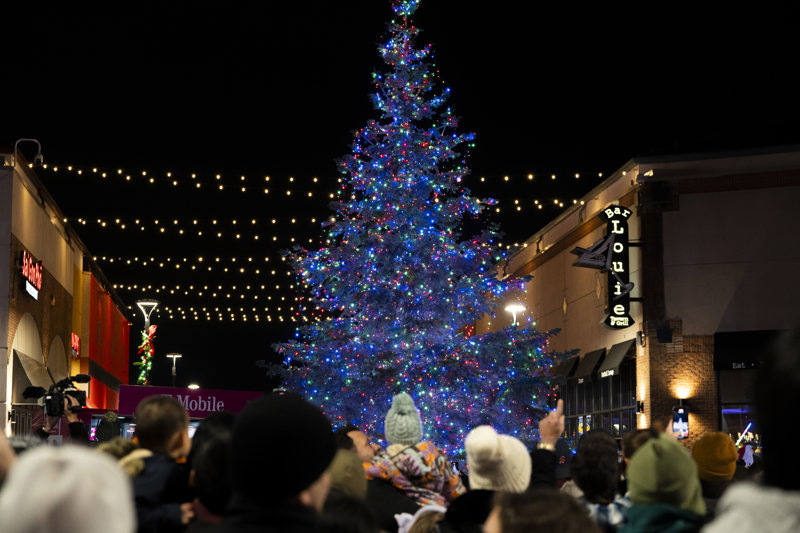 Light the Lights - City of Novi