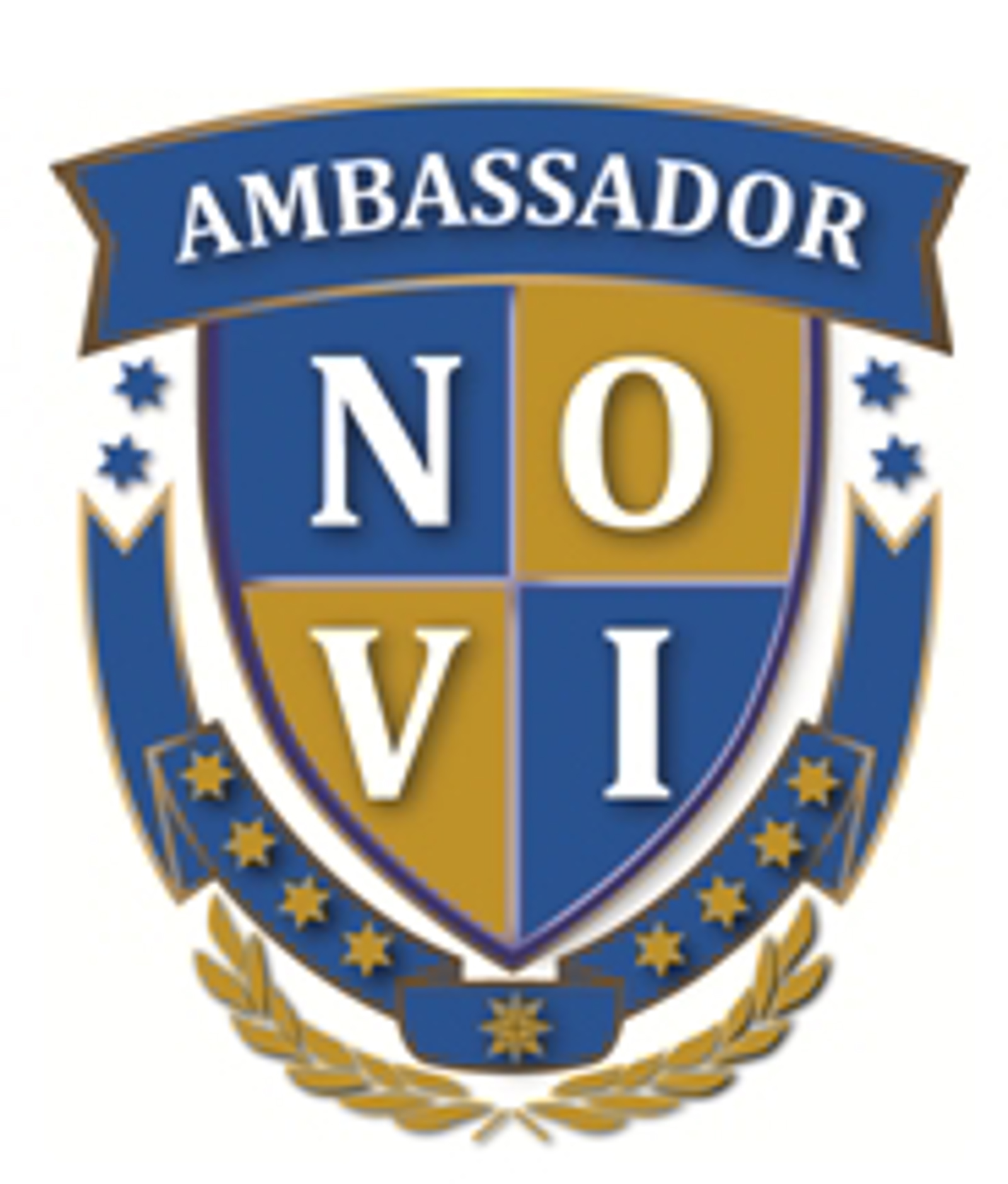 Logo Ambassadoracademy