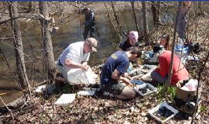 Spring Bug Hunt