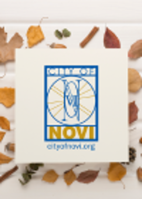 City of Novi seal