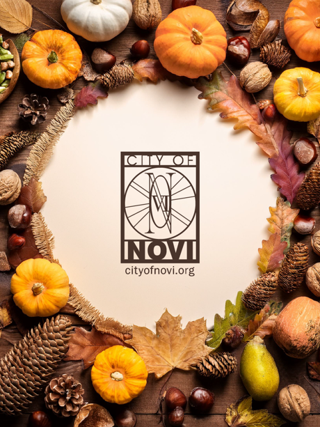 City of Novi seal