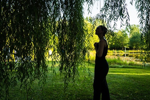 Woman staring up at a willow tree