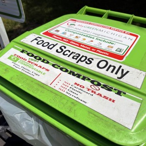 Compost 2 1595