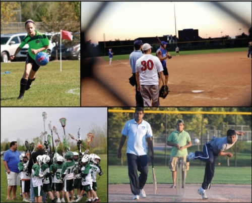 Collage of sports images in Novi